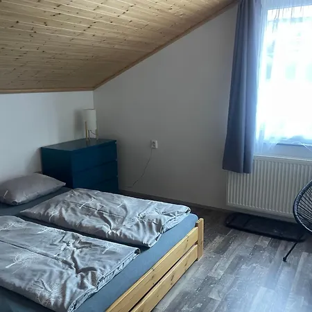 čížci *