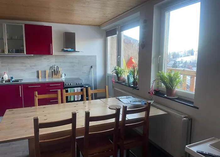 Apartmán čížci Horní Maršov